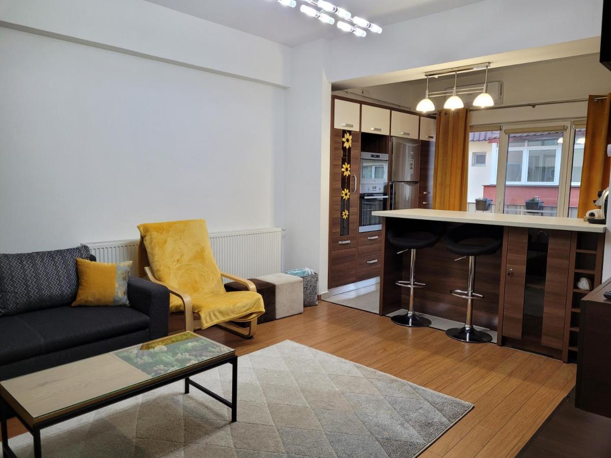 Andi Apartment Nagyszeben Kültér fotó